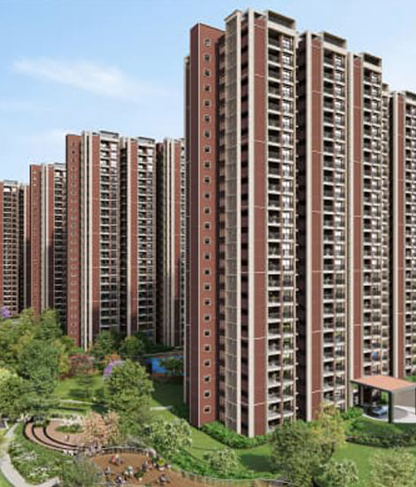 kalyani Living Tree